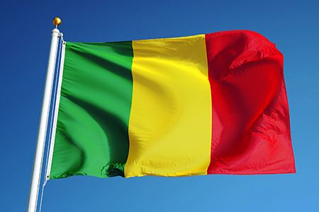 Minister of Mines and the Bougouni Governor visit the Bougouni Project in Mali