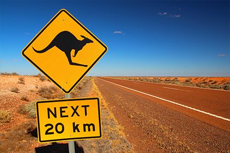 Pilbara Minerals releases pre-feasibility study results