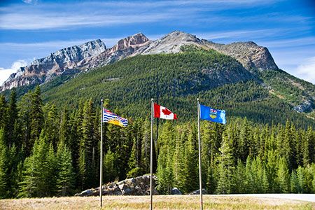 Sustainable development report shows improvement, Cameco has revealed