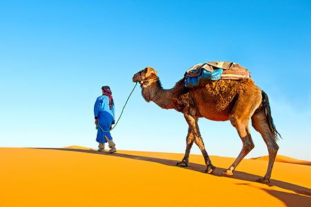 Mauritanian government approves Algold Resource Ltd's Mining licence