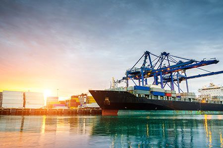 First bulk shipment of Hellyer pyrite concentrate unloaded at destination port