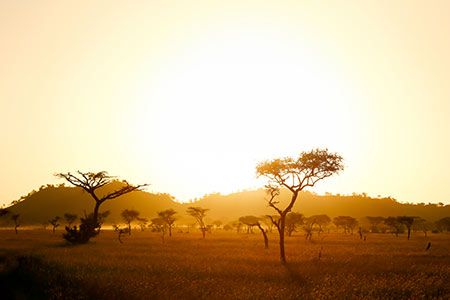 Government of Malawi has granted license for exploration to Mkango Resources