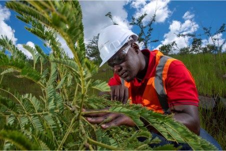 Gold mining and nature: Questioning assumptions, identifying solutions