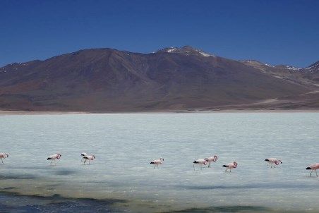 Critical raw materials in South America: A key resource for the global energy transition