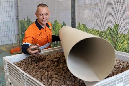 Papyrus Australia turns banana plantation waste into green win for mining sector