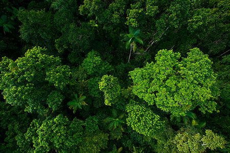 The key to nature-positive mining